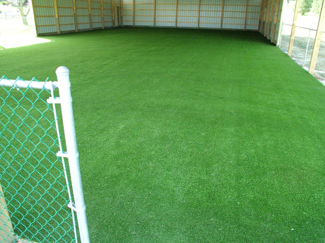 Finished Perfect Turf