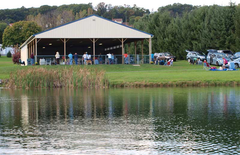 view from the pond