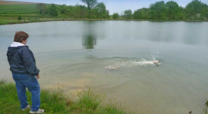 After run swim