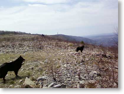 Overlooking Palmerton, return trail 500' to our left