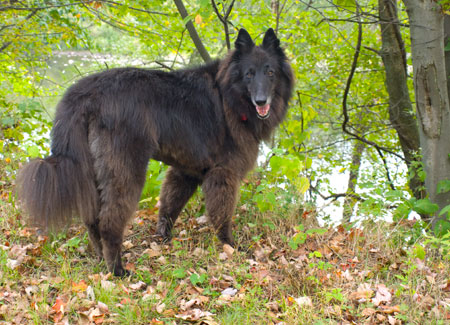 Stopping along the Lehigh River in Walnutport