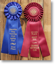 Agility Ribbons