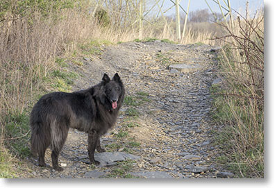 Bing poses at the sound of his name being called.