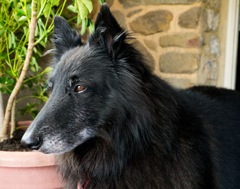 Photo: Bing poses to show of his sugar mouth and pencil thin white eye brows.