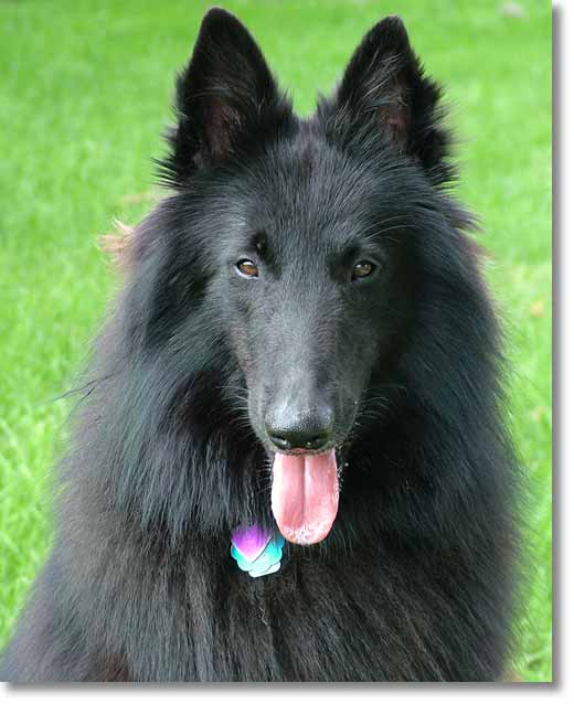 Bing, photo portrait at 16 months