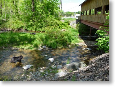 First swim by the covered bridge