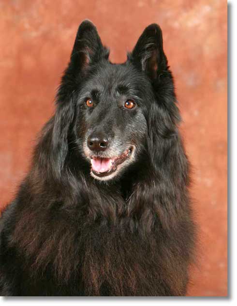 Acacia, age 7, portrait, wearing her best smile