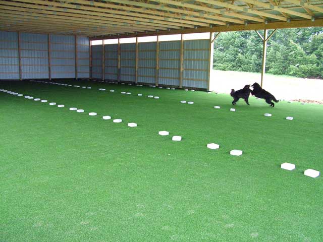 Belgians check out the pavilion turf