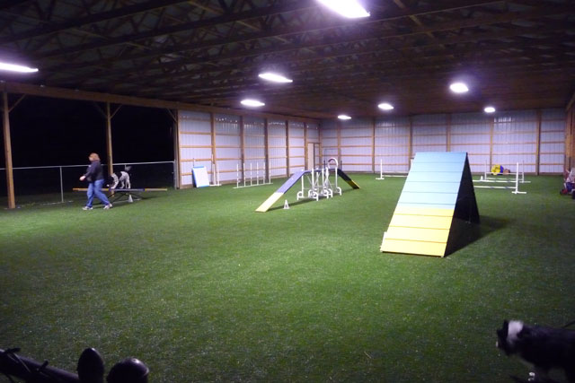 Agility under the lights