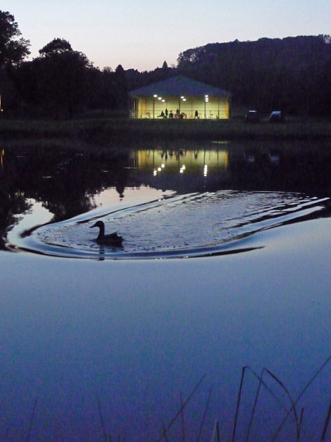 Duck landing on pond in front of pavilion