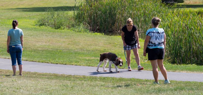 Chopper is eating a treat and searching for another one on the ground. Notice that all the people are standing sideways to him, but not avoiding eye contact. The people also talk to him, saying hi, and then tossing treats.