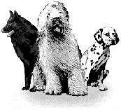 Three Dogs Great Companions Logo