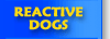 Navigation About Reactive Dogs