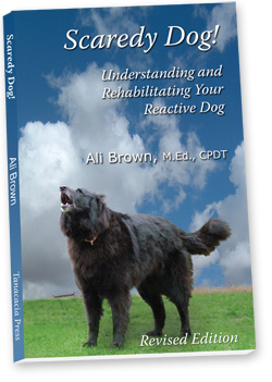 Picture of Cover of Ali Brown's Book, "Scaredy Dog!"