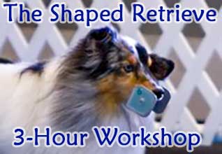 3-Hour Shaped Redtieve Workshop, May 18, 2024 with Pam Dennison