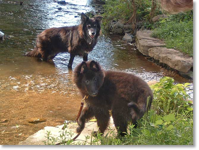 Bing and Montana at Cedar Creek Park