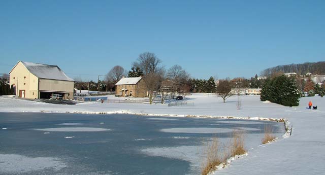 On Frozen Pond